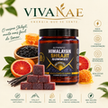 Shilajit em Gomas Vivanae - A Forma Mais Saborosa de Tomar Shilajit