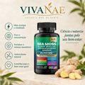 Suplemento Natural 8 en 1 - Musgo Marino, Black Seed Oil, Ashwagandha y Jengibre, Vivanae